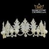 The Sarah Alloy Tiara- SALE